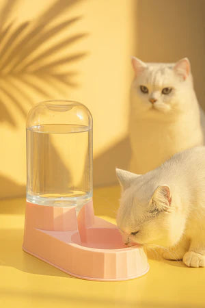 Automatic Pet Water Dispenser